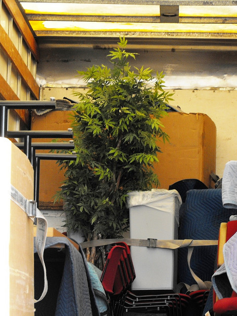 office pre-move