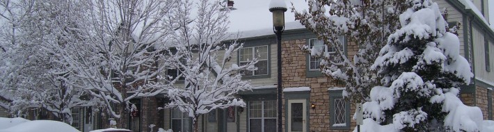neighborhood snowstorm