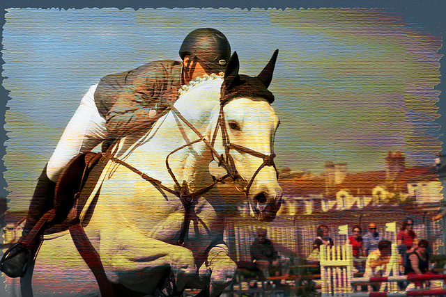texturized show jumping